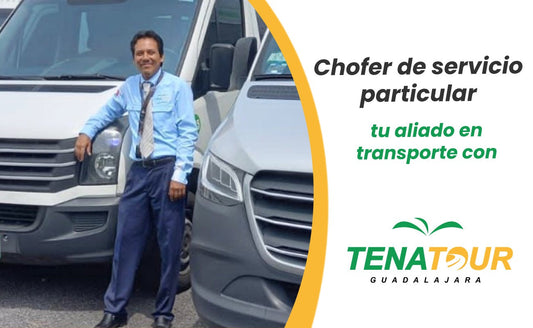 Chofer de servicio particular