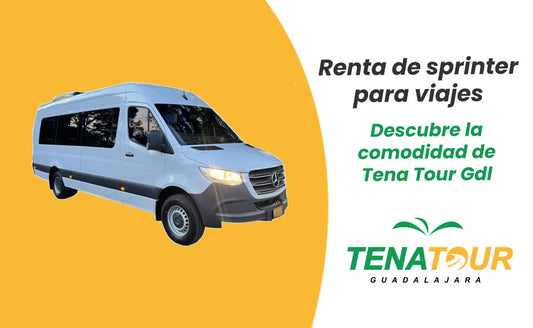 renta de sprinter para viajes