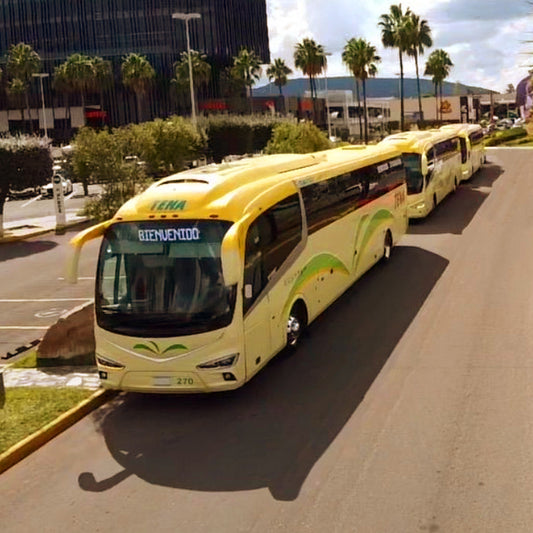 Renta de Autobuses con Chofer para 47 pasajeros